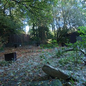 Old African penguin exhibit (Now gone, recently replaced by a new exhibit), 2014-10-19