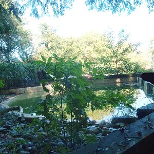 Old African penguin exhibit (Now gone, recently replaced by a new exhibit), 2014-10-19