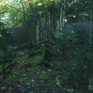 Arctic fox exhibit (Now gone), 2014-10-19