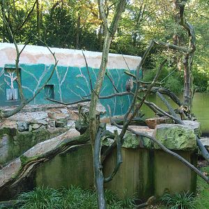 Former polar bear and fur seal exhibit, used as a Mandrill exhibit at the time (Now gone), 2014-10-19
