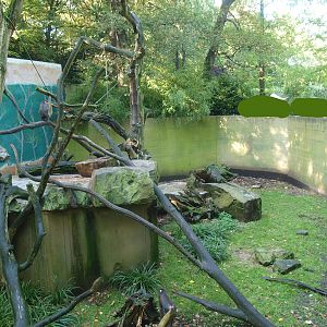 Former polar bear and fur seal exhibit, used as a Mandrill exhibit at the time (Now gone), 2014-10-19