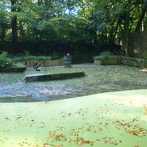 Harbor seal exhibit (Now gone), 2014-10-19