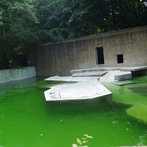 Fur seal exhibit, former polar bear exhibit (Now gone), 2008-08-06