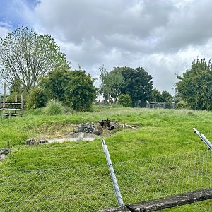 Future Tiger Exhibit