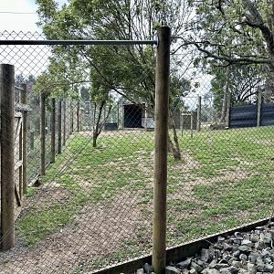 Second Nyala Exhibit
