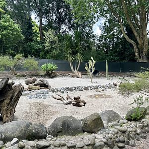 Meerkat/Porcupine Exhibit