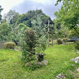 Nepalese Red Panda Exhibit
