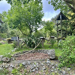 Nepalese Red Panda Exhibit