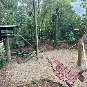 Ruffed Lemur Exhibit
