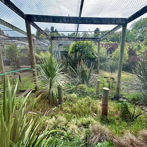 Fishing Cat Exhibit 1