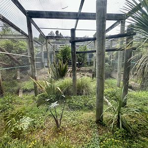 Fishing Cat Exhibit 3