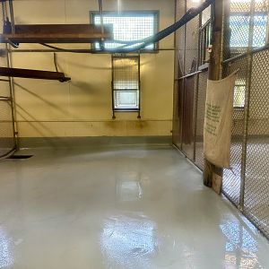 Spider Monkey House (Interior)