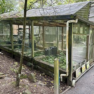 Native Amphibian House