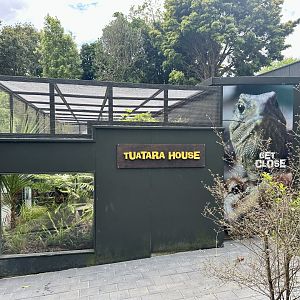 Tuatara House