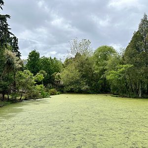 Australian Wetlands Exhibit