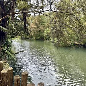 New Zealand Wetlands Exhibit