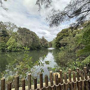 New Zealand Wetlands Exhibit