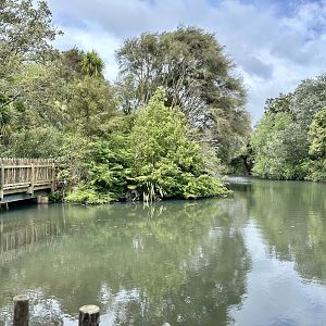 New Zealand Wetlands Exhibit
