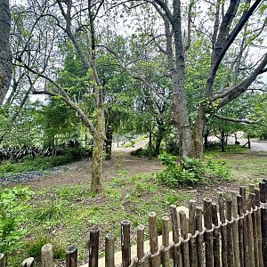 Old Cape Barren Goose Exhibit