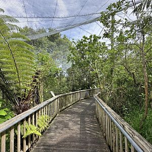 New Zealand Freeflight Aviary
