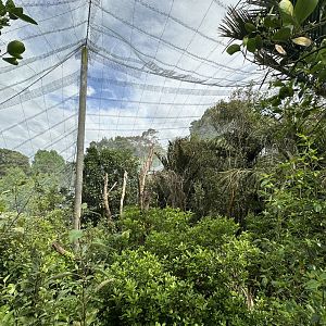 New Zealand Freeflight Aviary
