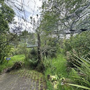 New Zealand Freeflight Aviary
