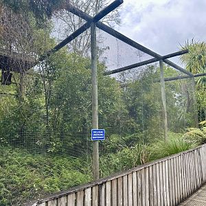 Old New Zealand Falcon Exhibit