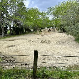 Rhino Paddock 2 (Samburu’s Paddock)