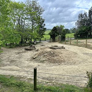 Rhino Paddock 2 (Samburu’s Paddock)