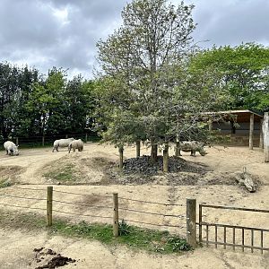 Rhino Paddock 3 (Cow Paddock)