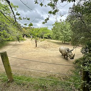 Rhino Paddock 1 (Kruger’s Paddock)