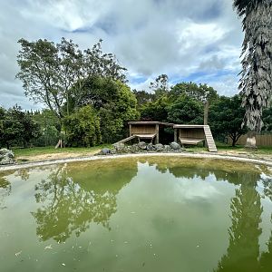 Sumatran Tiger Exhibit (Large)
