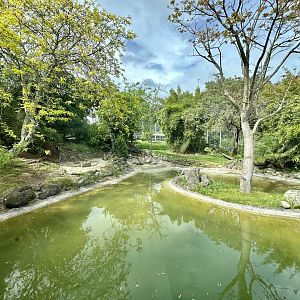 Sumatran Tiger Exhibit (Large)