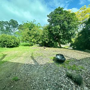 Sumatran Tiger Exhibit (Large)