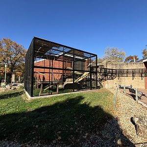New Enclosure for Spider Monkeys and Ring Tail Lemurs