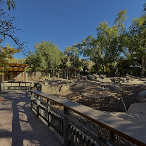 High Desert Oasis - East Yard