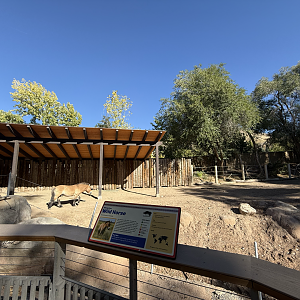 High Desert Oasis - East Yard