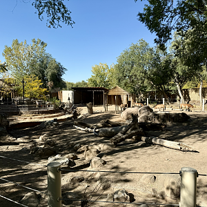 High Desert Oasis - East Yard