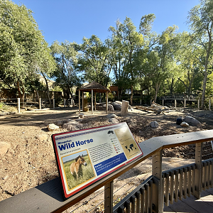 High Desert Oasis - East Yard