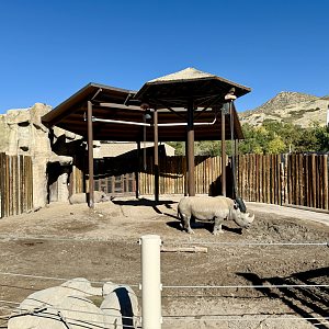 High Desert Oasis - The Lodge Yard