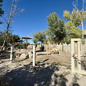 High Desert Oasis - West Yard