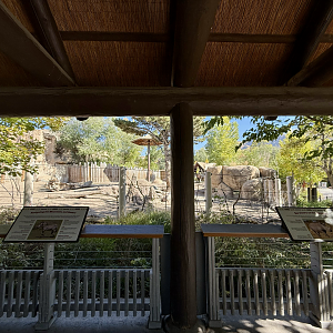 High Desert Oasis - View into West Yard