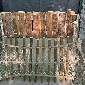 Tortoise "Bridge" in Rainforest Atrium