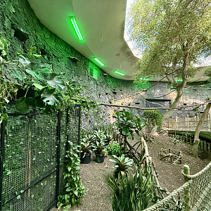 Renovated Rainforest Atrium