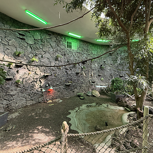 Renovated Rainforest Atrium