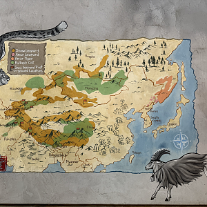 Asian Highlands - Grandma's House Mural