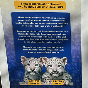 Snow Leopard Cubs Sign