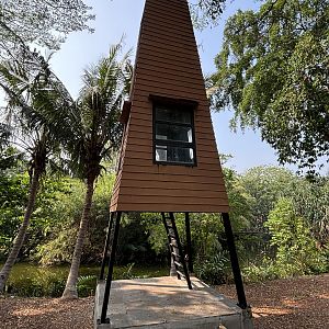 Bird Observation Station