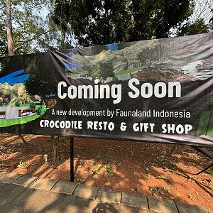 Crocodile Restaurant!