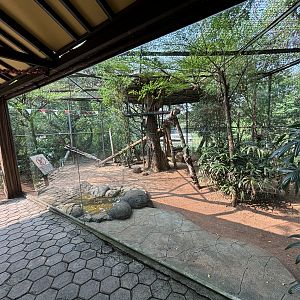 Javan Leopard Exhibit